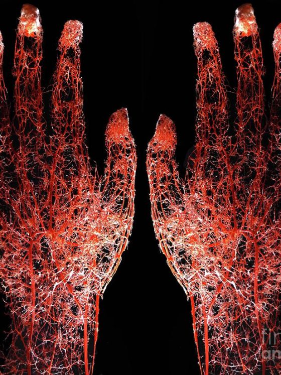 Essential Vitamins for Eye Health: A Critical Guide