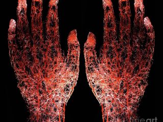 Essential Vitamins for Eye Health: A Critical Guide