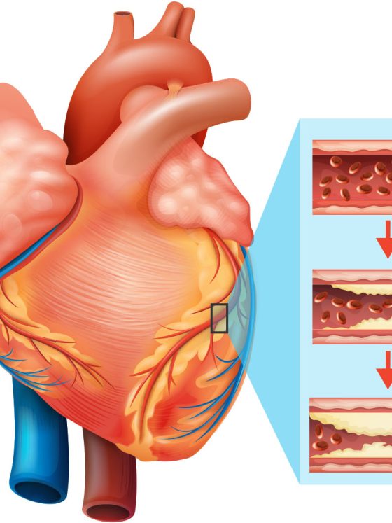 Top Five Natural Supplements for Maintaining Heart Health