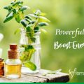Elevate Energy and Power Naturally with Herbal Energy Supplements