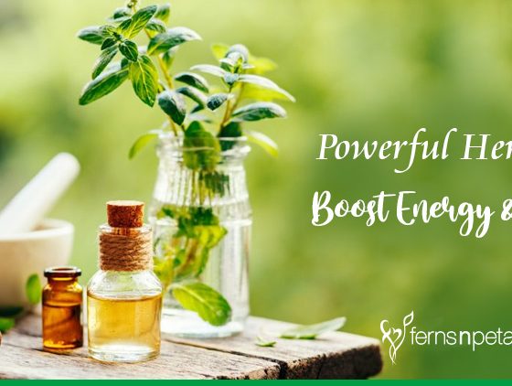 Elevate Energy and Power Naturally with Herbal Energy Supplements